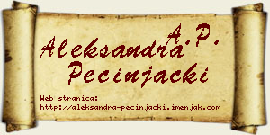 Aleksandra Pecinjački vizit kartica
